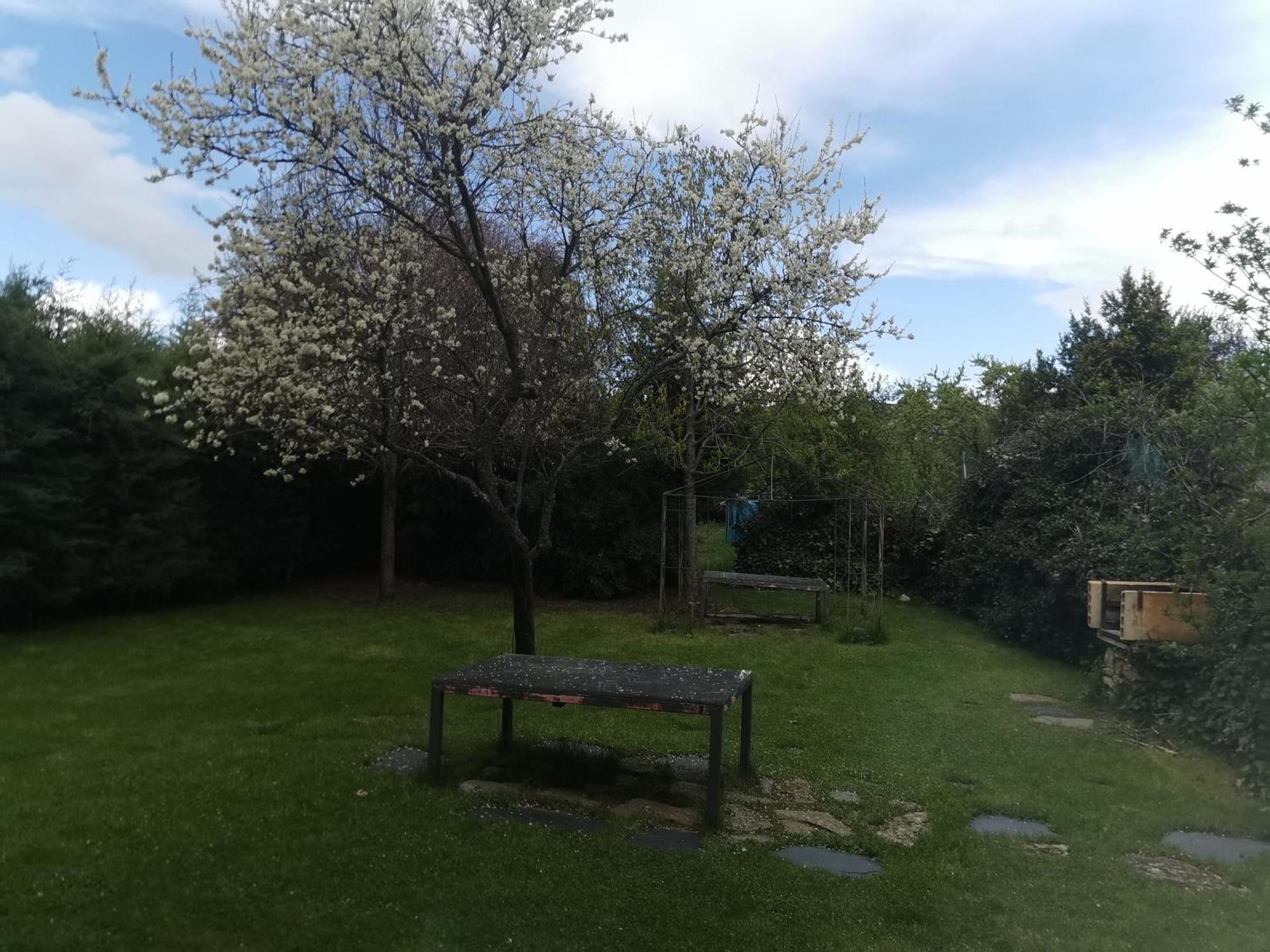 Apartamentos Rurales Alvado Tamajon Dış mekan fotoğraf